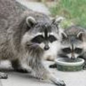 Meet your Posher, Ben